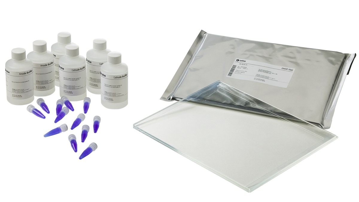 DIGE Buffer Kit 28937452 - Protein analysis equipment and supplies - Cytiva