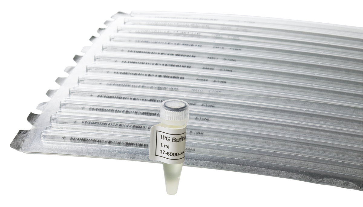 IPG Buffers 17600086 - Protein analysis equipment and supplies - Cytiva