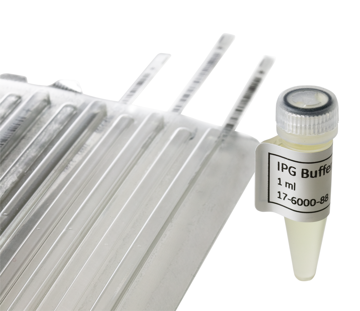 Immobiline DryStrip Gels 17600195 - Protein analysis equipment and supplies - Cytiva