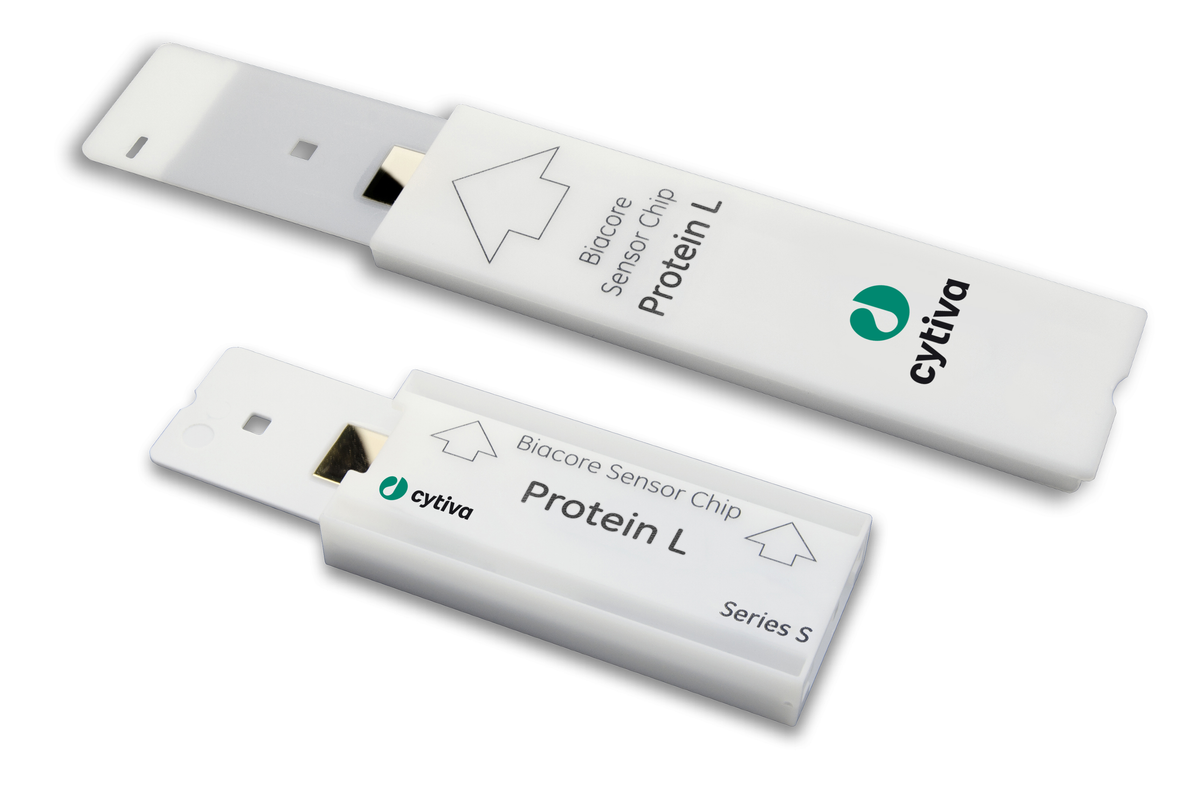 Sensor Chip Protein L 29205137 - Protein analysis equipment and supplies - Cytiva
