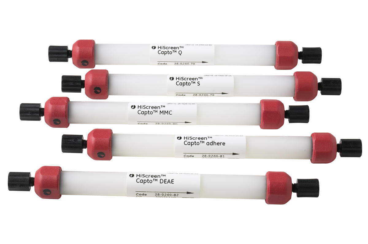 HiScreen Capto™ S ion exchange chromatography column 28926979 - Chromatography products - Cytiva