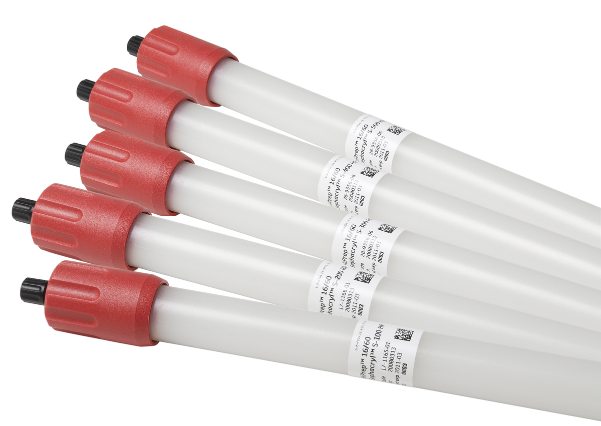 HiPrep™ Sephacryl™ S-500 HR columns 28935606 - Chromatography products - Cytiva