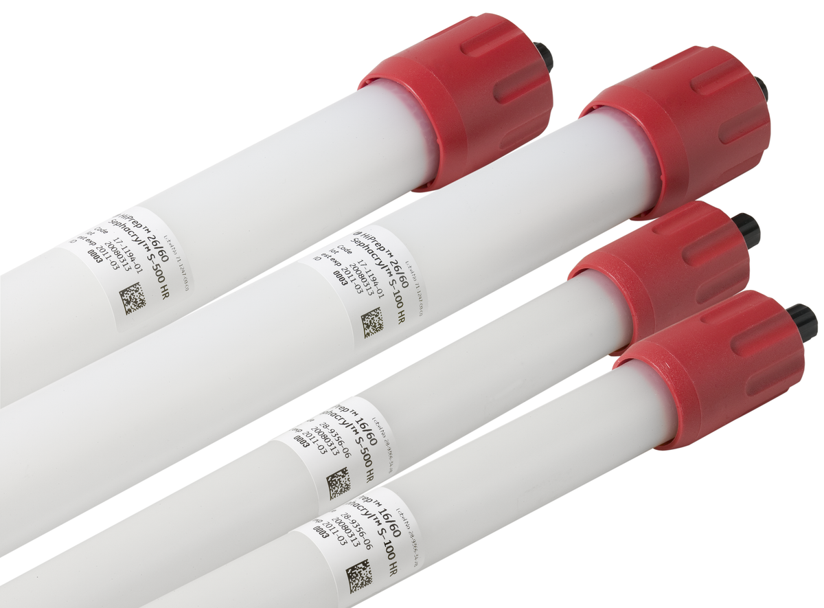 HiPrep™ Sephacryl™ S-500 HR columns 28935606 - Chromatography products - Cytiva