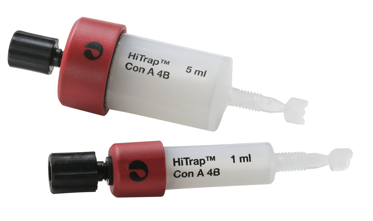HiTrap™ Con A 4B columns 28952085 - Chromatography products - Cytiva