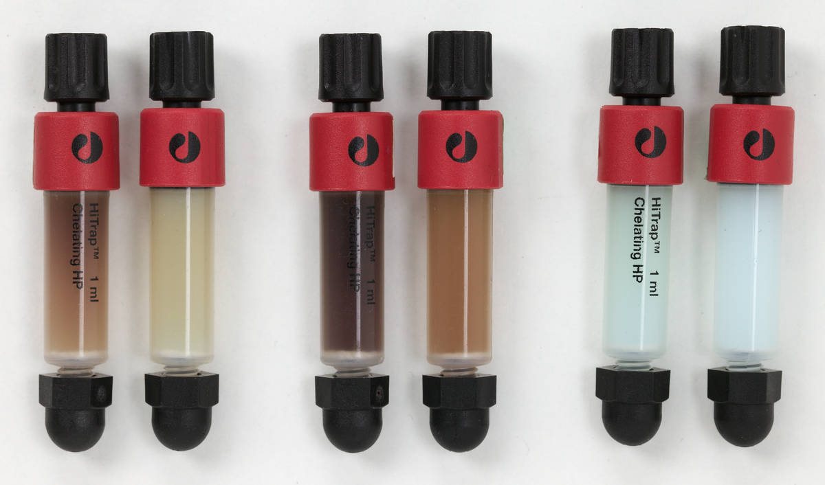 HiTrap™ Chelating HP immobilized metal affinity chromatography columns 17040903 - Chromatography products - Cytiva