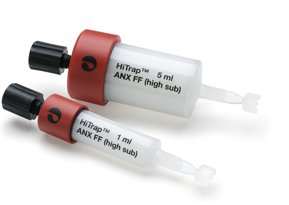 HiTrap™ ANX Sepharose FF 17516201 - Chromatography products - Cytiva