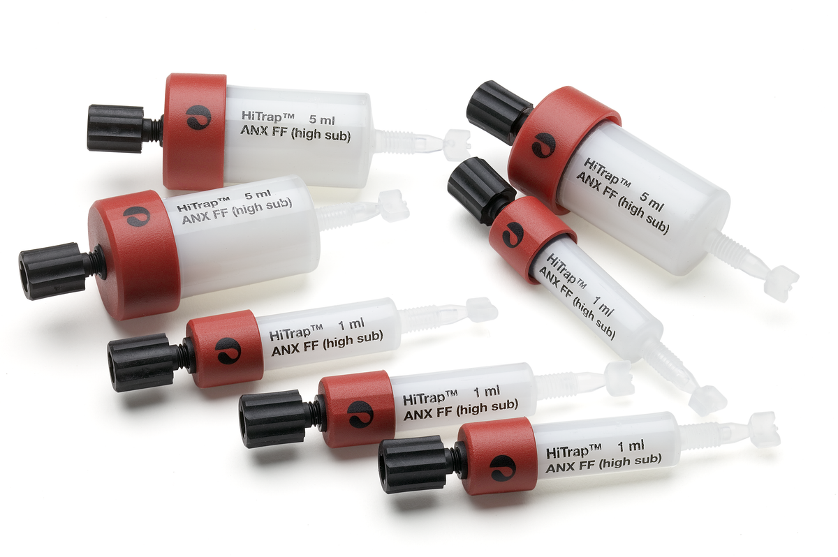 HiTrap™ ANX Sepharose FF 17516201 - Chromatography products - Cytiva