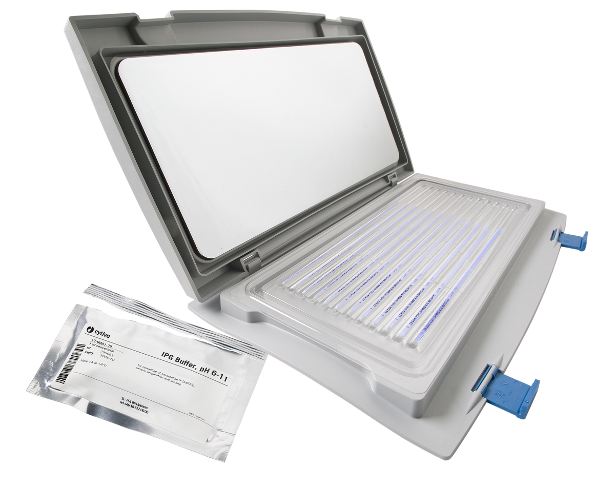 Immobiline DryStrip Gels 17600195 - Protein analysis equipment and supplies - Cytiva