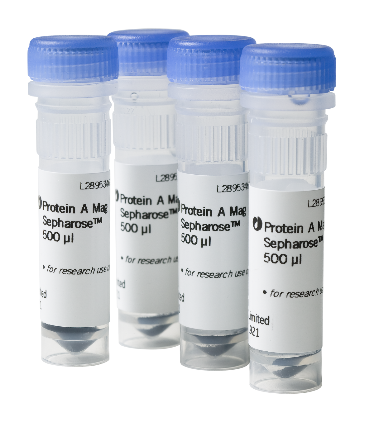 Protein A Mag Sepharose 28951378 - Protein analysis equipment and supplies - Cytiva