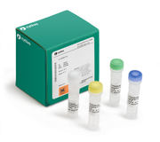 GenomiPhi V2 DNA Amplification Kits 25660032 - Molecular and Immunodiagnostics - Cytiva
