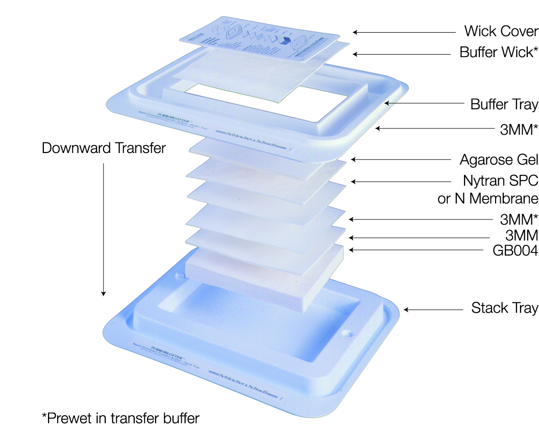 TurboBlotter Refills, small 10416306 - Protein analysis equipment and supplies - Cytiva