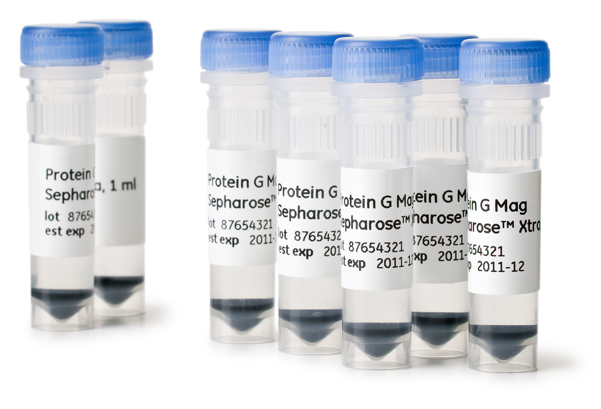 Protein G Mag Sepharose™ Xtra 28967070 - Protein analysis equipment and supplies - Cytiva
