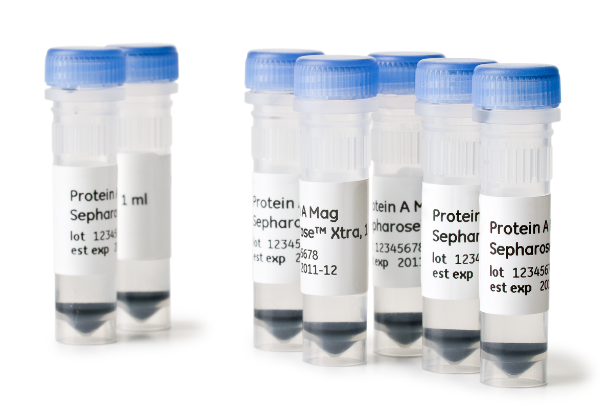 Protein A Mag Sepharose™ Xtra 28967062 - Protein analysis equipment and supplies - Cytiva