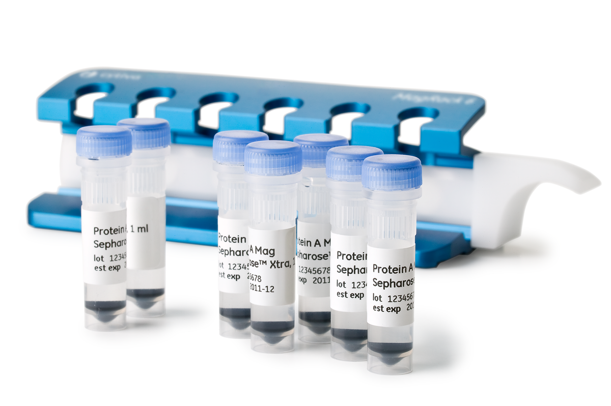 Protein A Mag Sepharose™ Xtra 28967062 - Protein analysis equipment and supplies - Cytiva