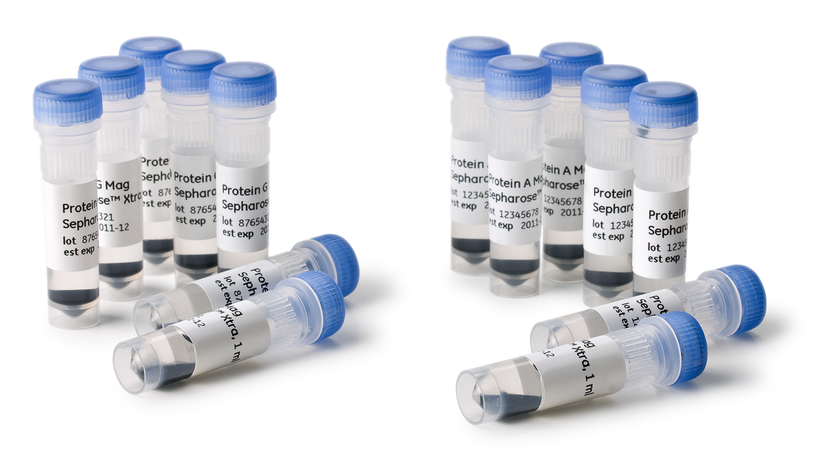 Protein G Mag Sepharose™ Xtra 28967070 - Protein analysis equipment and supplies - Cytiva