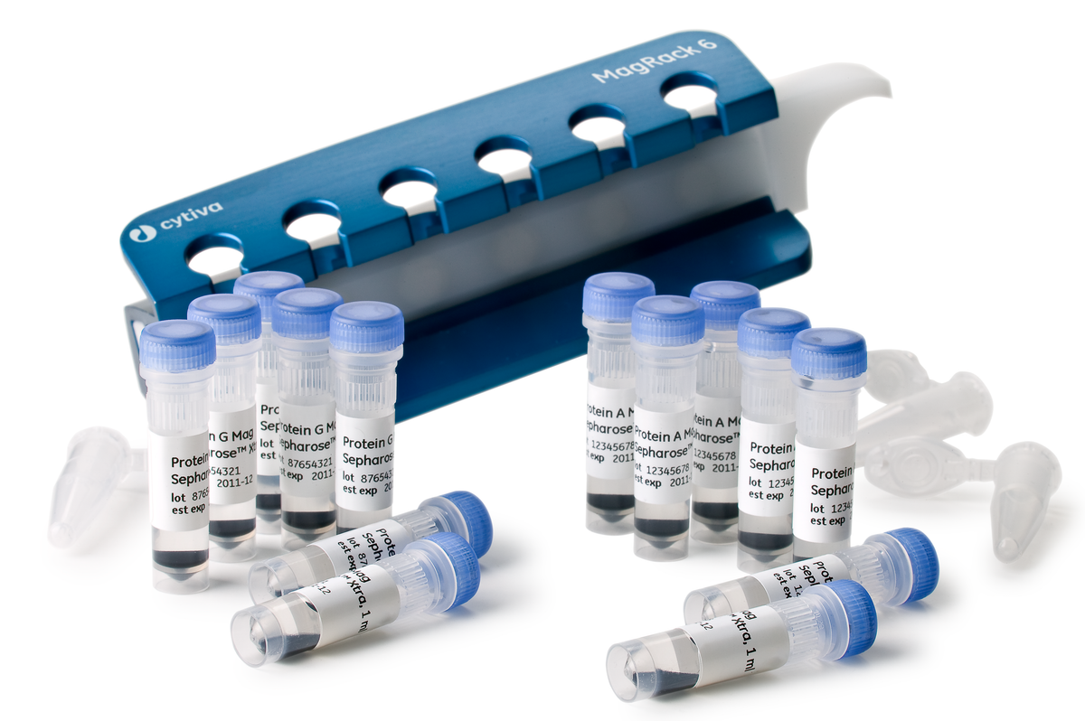 Protein G Mag Sepharose™ Xtra 28967070 - Protein analysis equipment and supplies - Cytiva