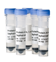 Protein A Mag Sepharose™ Xtra 28967062 - Protein analysis equipment and supplies - Cytiva