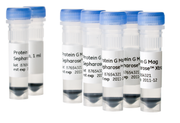 Protein G Mag Sepharose™ Xtra 28967070 - Protein analysis equipment and supplies - Cytiva