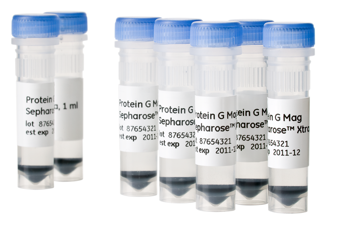 Protein G Mag Sepharose™ Xtra 28967070 - Protein analysis equipment and supplies - Cytiva