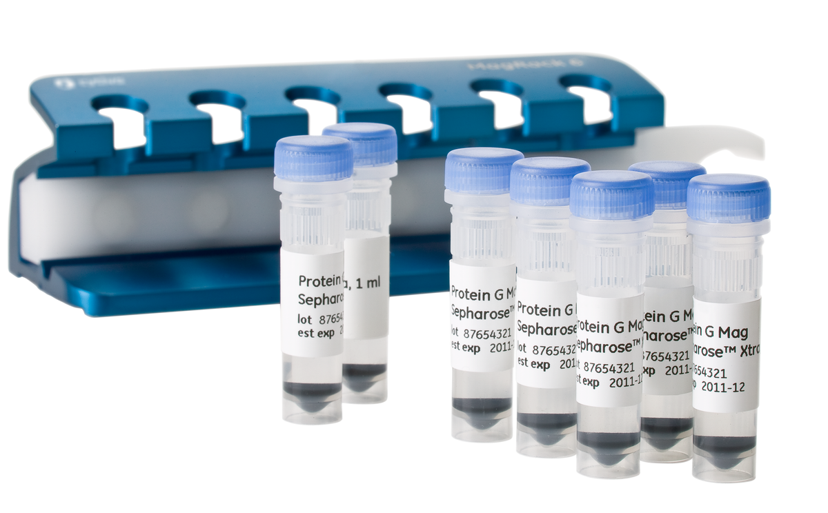 Protein G Mag Sepharose™ Xtra 28967070 - Protein analysis equipment and supplies - Cytiva