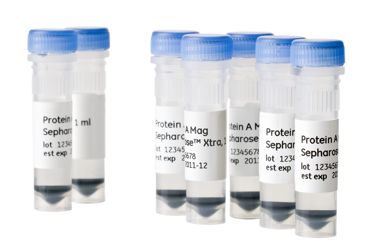 Protein A Mag Sepharose™ Xtra 28967062 - Protein analysis equipment and supplies - Cytiva