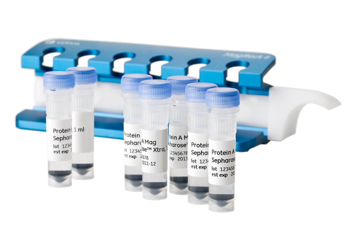 Protein A Mag Sepharose™ Xtra 28967062 - Protein analysis equipment and supplies - Cytiva