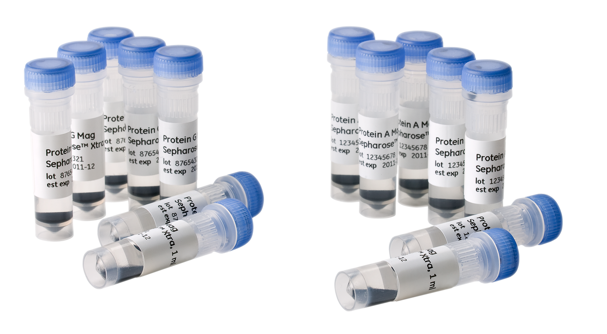 Protein A Mag Sepharose™ Xtra 28967062 - Protein analysis equipment and supplies - Cytiva