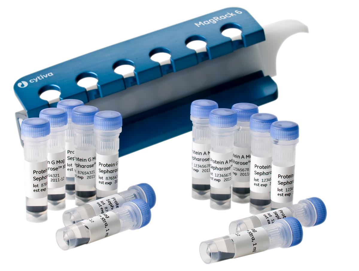 Protein G Mag Sepharose™ Xtra 28967070 - Protein analysis equipment and supplies - Cytiva