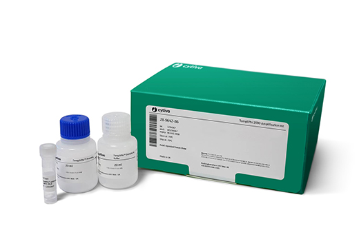 TempliPhi™ 2000 Reaction Kit 28964286 - Molecular and Immunodiagnostics - Cytiva