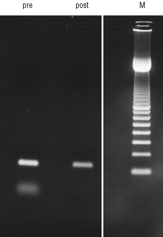 Amersham™ MicroSpin S-300 HR Columns 27513001 - Molecular and Immunodiagnostics - Cytiva