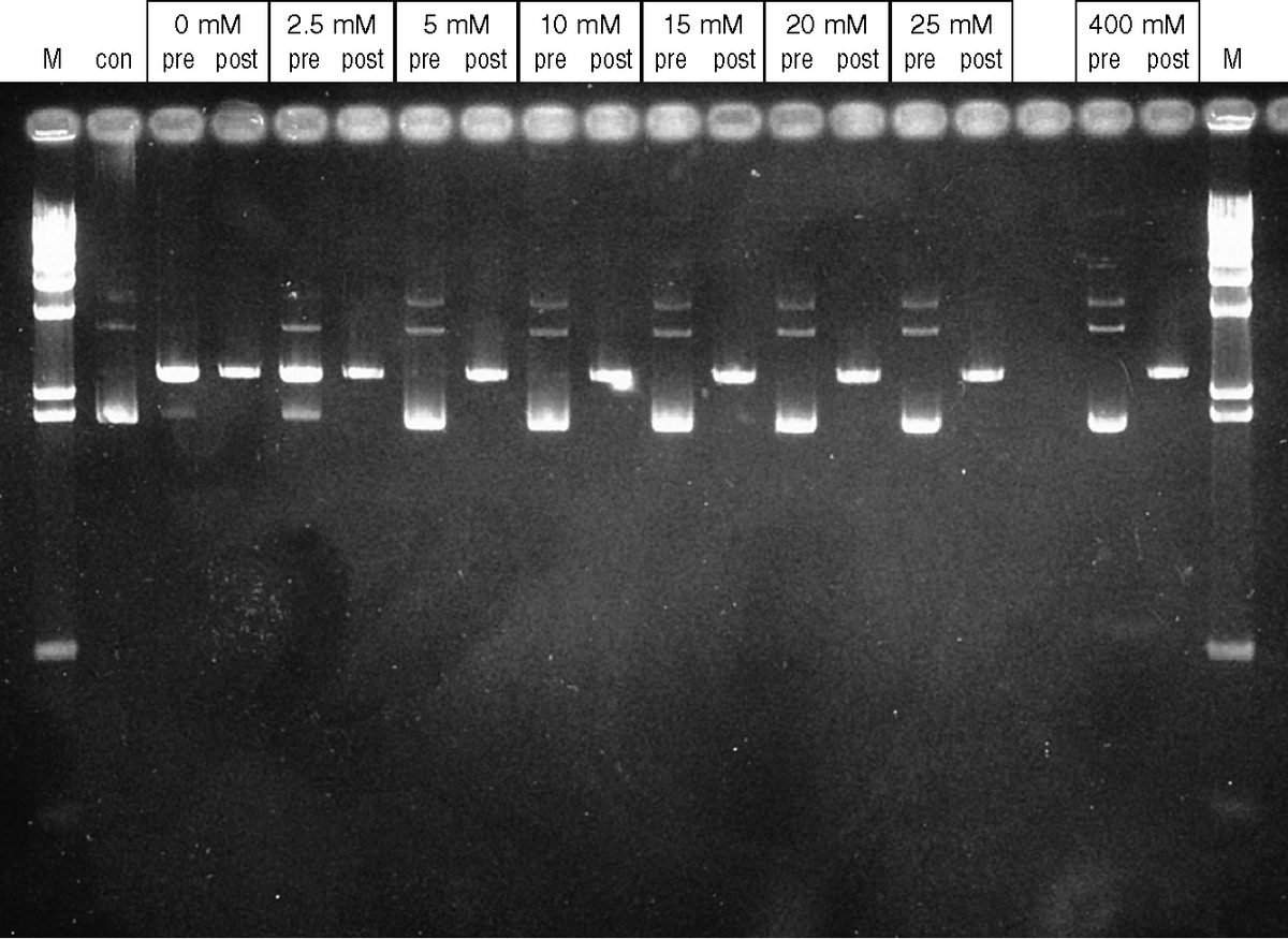Amersham™ MicroSpin G-25 Columns 27532501 - Molecular and Immunodiagnostics - Cytiva