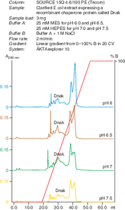 PE SOURCE™ 15Q 17518101 - Uncategorized - Cytiva