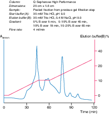 Q Sepharose™ High Performance 17101401 - Chromatography products - Cytiva