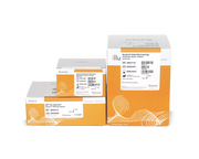 Illumina DNA PCR-Free Sequencing and Indexing Primer 20041797 - Illumina