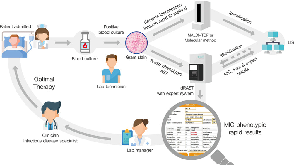 dRAST Rapid Antimicrobial Susceptibility Testing System (QMdRASTR02)