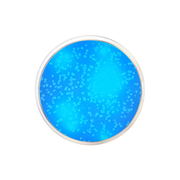 EC with MUG Fluorogenic Agar CO1180 - Microbiology - Condalab