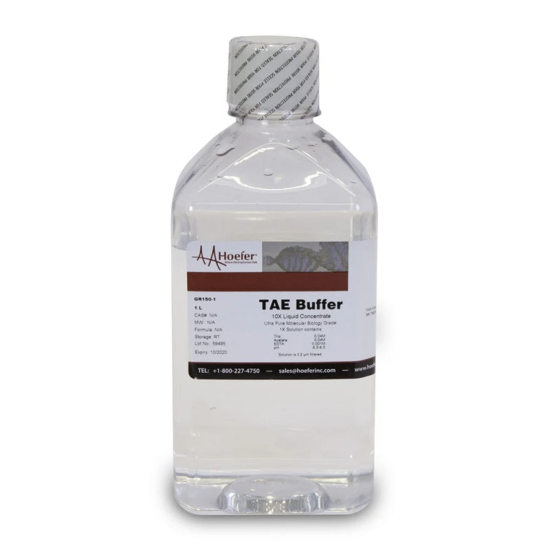 Tris-Acetate-EDTA (TAE) Buffer, 10X Solution, PH 8.3 GR150-1 - Hoefer Inc.