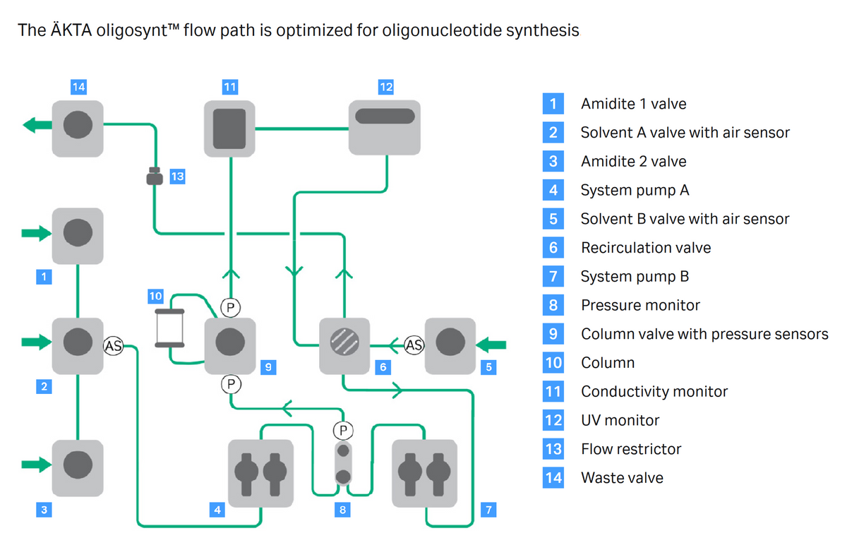 ÄKTA oligosynt™ oligonucleotide synthesizer 29628148 - Oligonucleotide synthesis - Cytiva