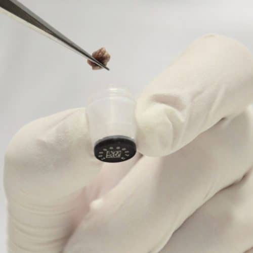1.00ml Screw Cap Tubes with External Thread Flat bottom - Sample Storage Tubes - Micronic
