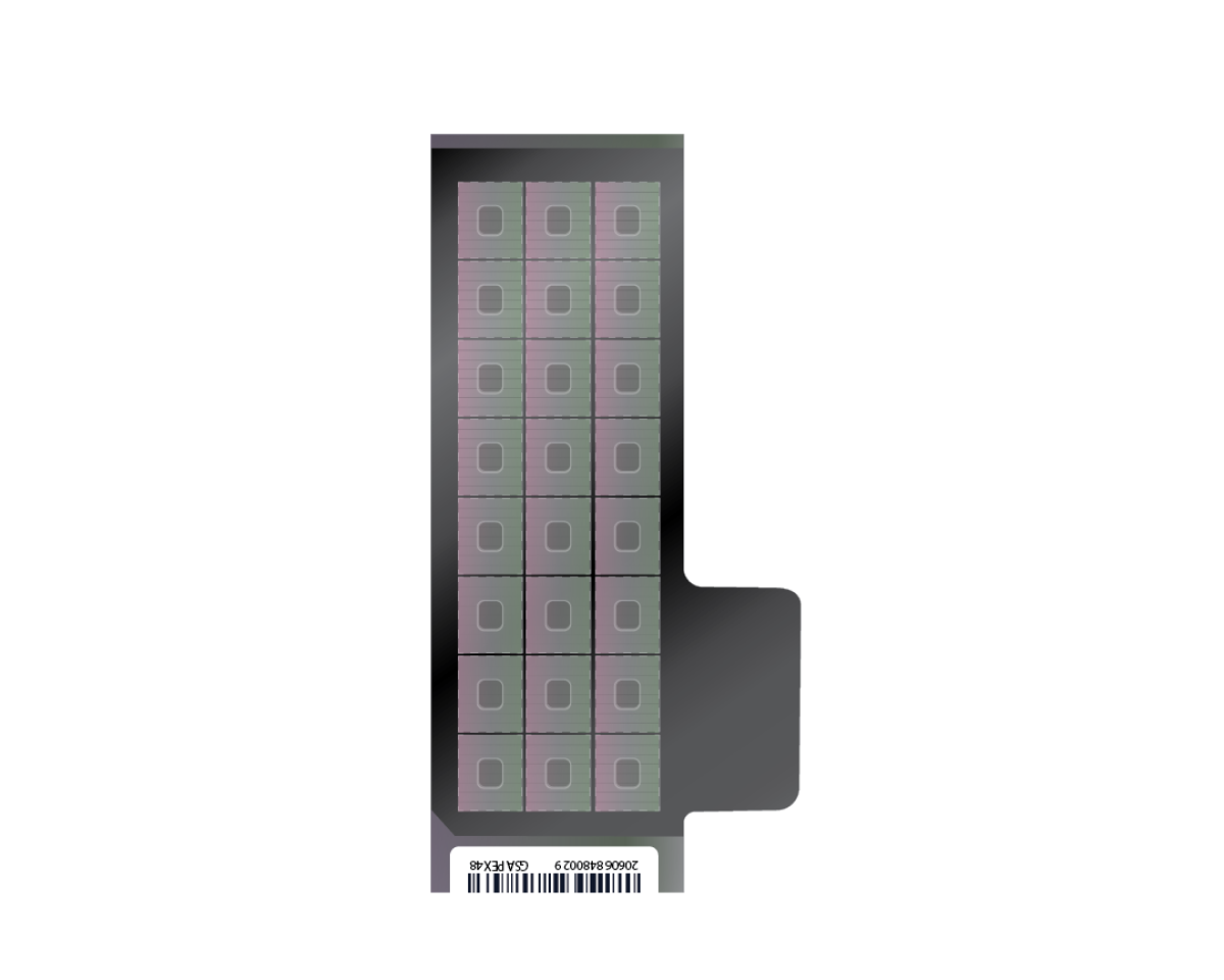 Infinium Global Clinical Research Array with Enhanced PGx-24 v1.0 Kit (1152 samples) 20068340 - Illumina