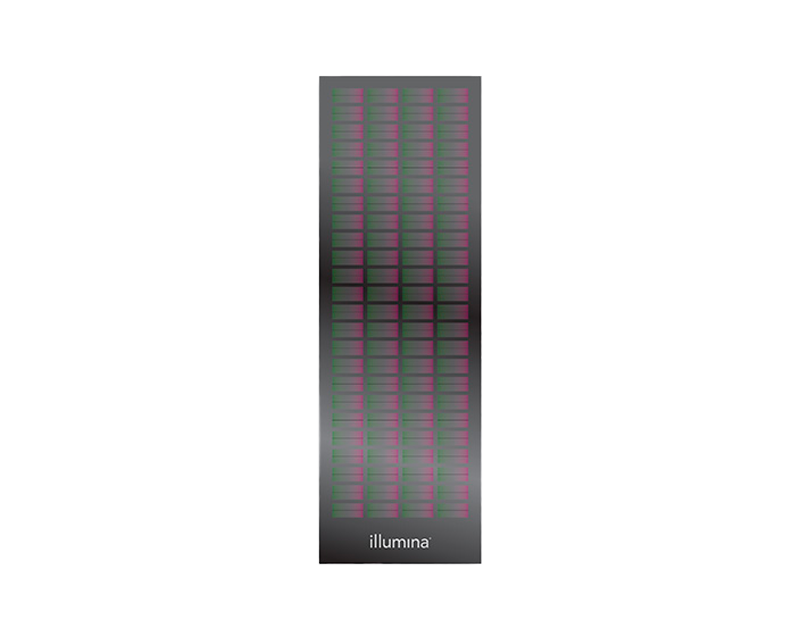 Infinium XT Assay PB20 Kit 20007420 - Illumina