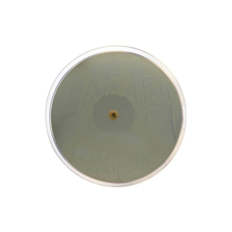 Iso-Sensitest Agar CO1001 - Microbiology - Condalab