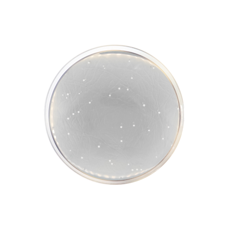 LB Agar (Lennox) 1083 - Molecular biology - Condalab