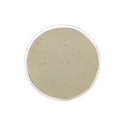 Luria Agar with Kanamycin 50 µg/ml (Miller's LB Agar) CO2091 - Molecular biology - Condalab