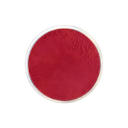 MacConkey Agar Nº 2 CO1035 - Microbiology - Condalab