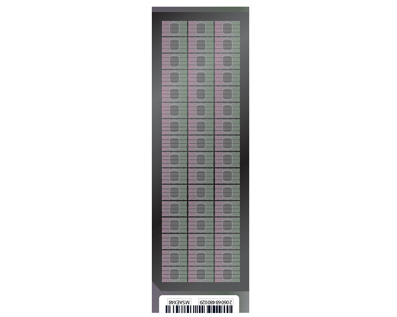 Infinium Methylation Screening Array-48 Kit (48 samples) 20112611 - Illumina