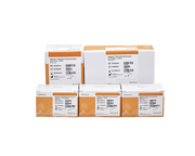 Illumina DNA Prep with Enrichment, (S) Tagmentation (16 Samples) 20025523 - Illumina