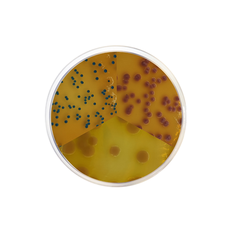 PEC Chromogenic Agar 2144 - Microbiology - Condalab