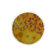 PEC Chromogenic Agar CO2144 - Microbiology - Condalab
