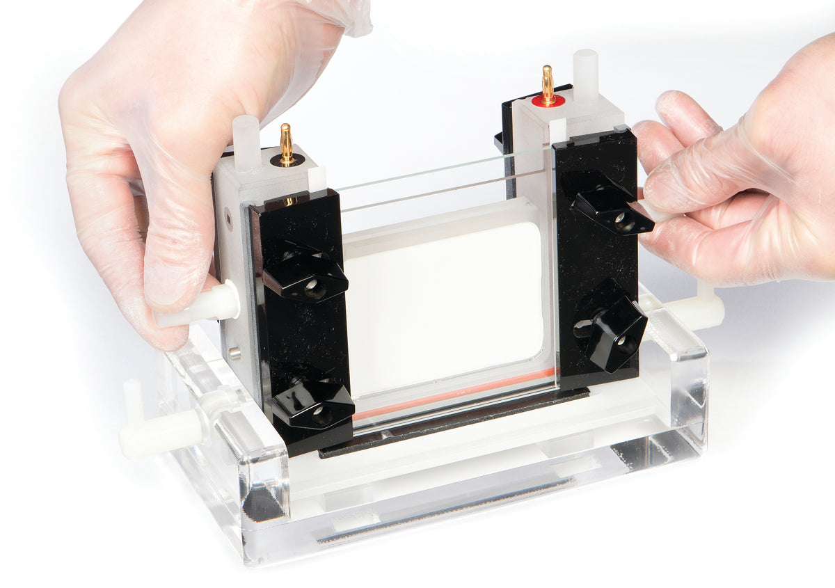 PerfectBlue Twin S, Dual-Gel System (700-0931)
